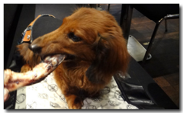 20130816233236.JPG