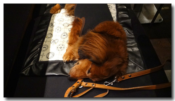 20130816233249.JPG
