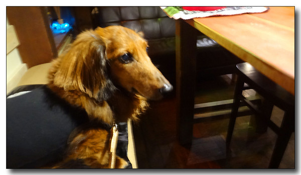20130820053046.JPG