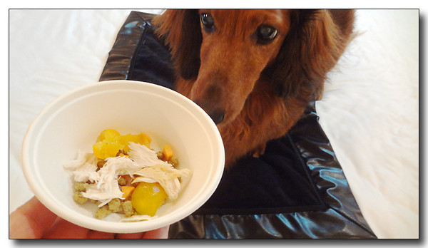 20130820200701.JPG