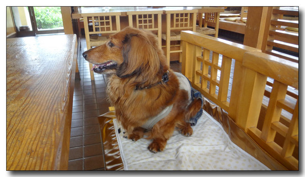 20130820211924.JPG
