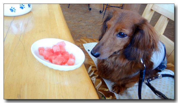 20130820212437.JPG
