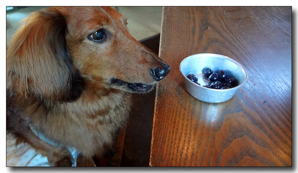 20130820212758.JPG