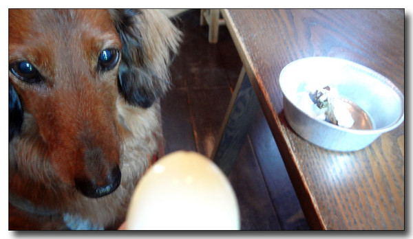 20130820212759.JPG