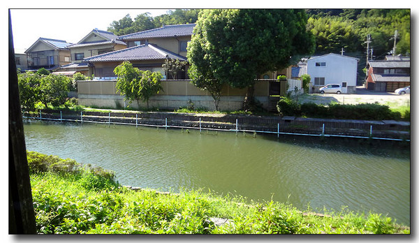 20130820212800.JPG