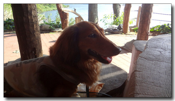 20130820213325.JPG