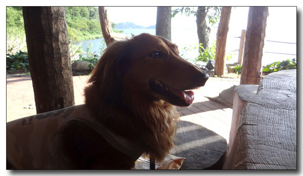 20130820213326.JPG