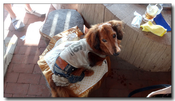 20130820213353.JPG