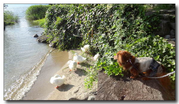20130820213355.JPG