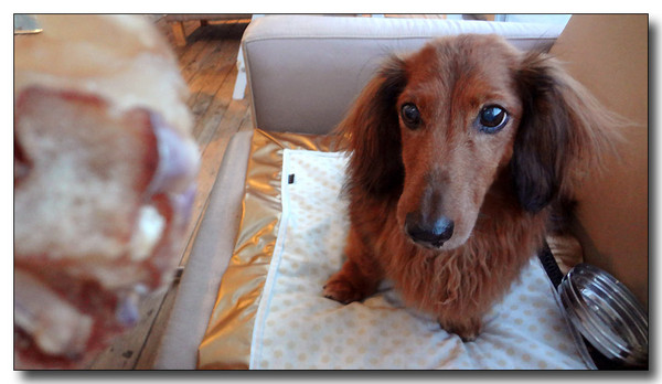 20130821182112.JPG
