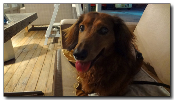 20130821182134.JPG