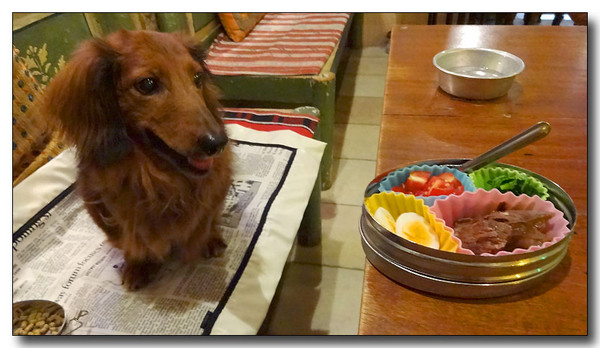 20130901082907.JPG