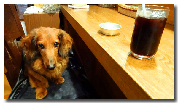 20130901091436.JPG