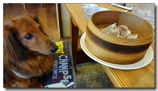 20130901164443.JPG