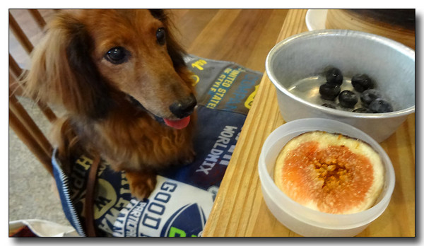 20130901164444.JPG