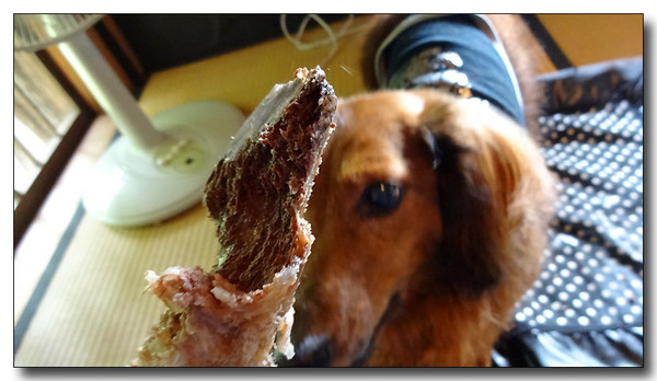 20130902201507.JPG