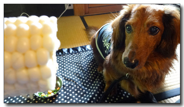 20130902202824.JPG