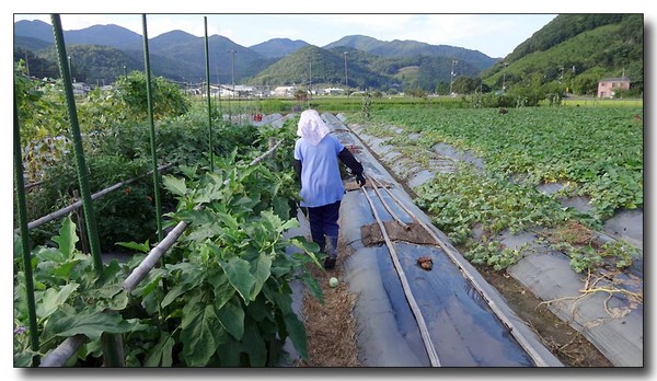 20130902203620.JPG