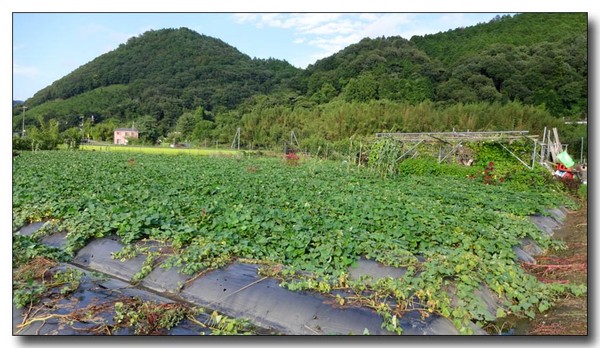 20130902203644.JPG