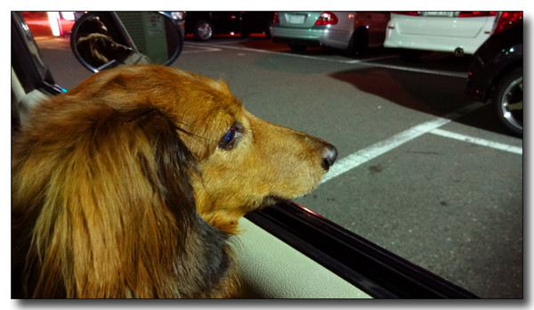 20130906001545.JPG