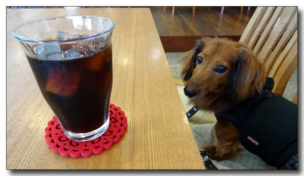 20130906002031.JPG