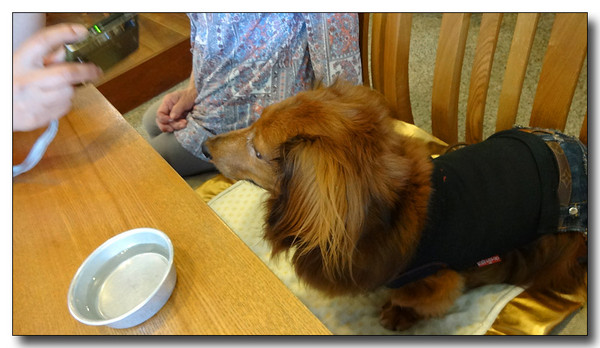 20130906002033.JPG