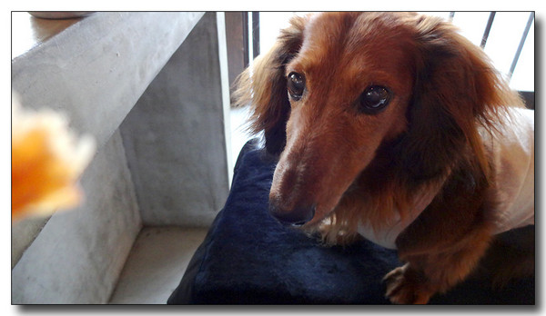 20130906073434.JPG