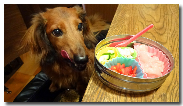 20130906073629.JPG