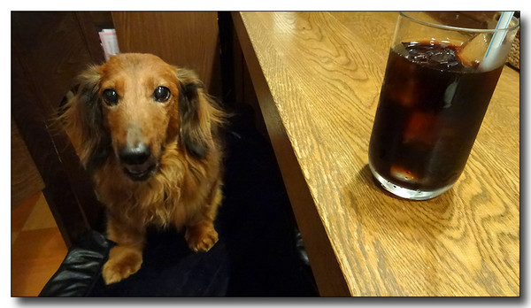 20130906073630.JPG