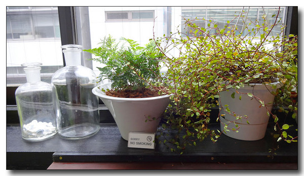 20130906074214.JPG