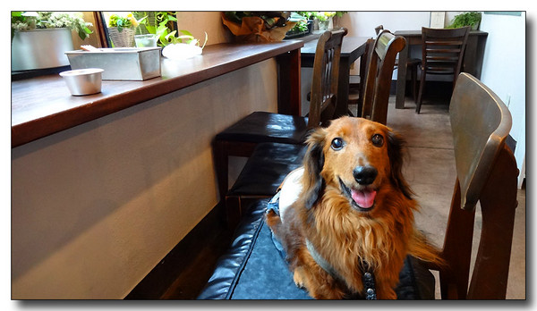 20130906074237.JPG