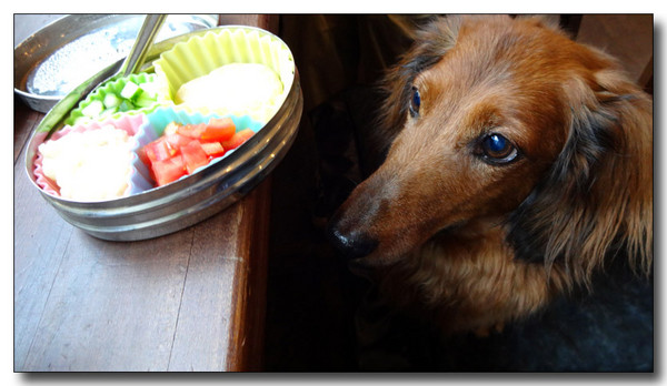 20130906074239.JPG