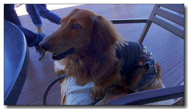 20131003210112.JPG