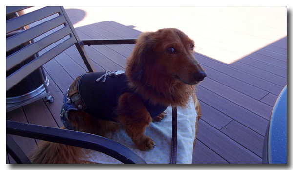20131003210114.JPG