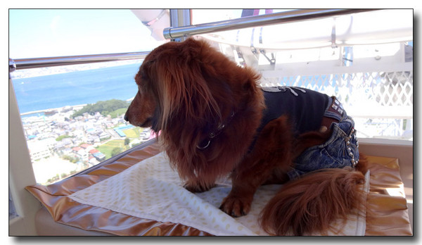 20131003210433.JPG