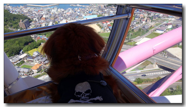20131003210434.JPG