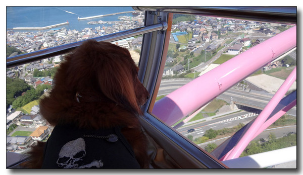 20131003210449.JPG