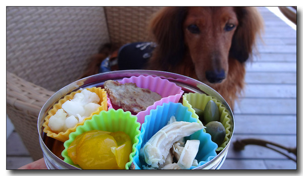 20131003211044.JPG