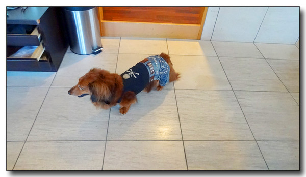 20131019063142.JPG