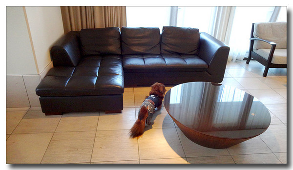 20131019063210.JPG