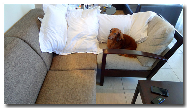 20131019203008.JPG