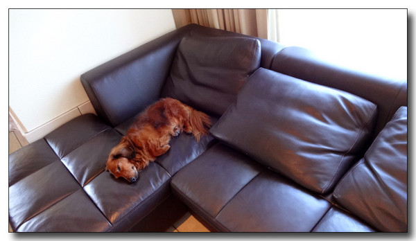 20131019203132.JPG
