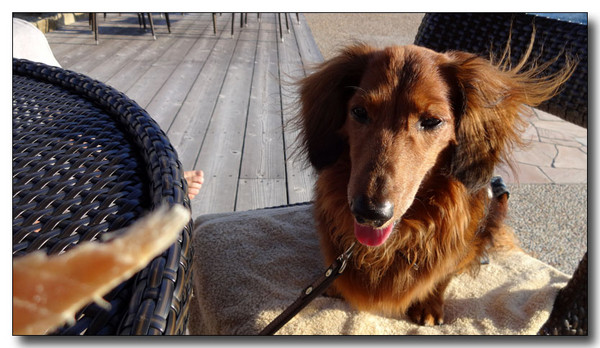 20131022075318.JPG
