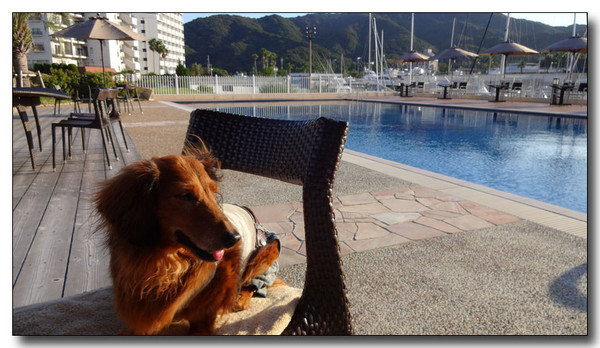 20131022075321.JPG