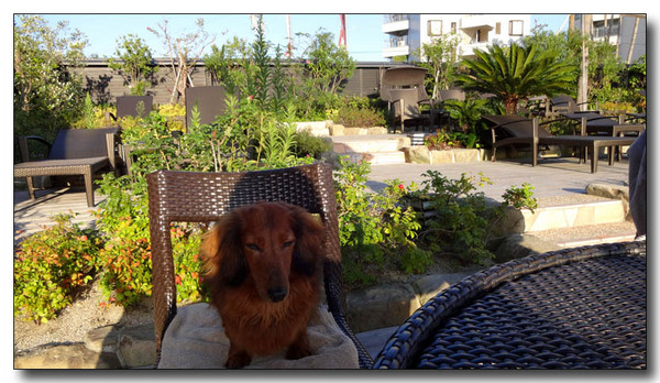 20131022075344.JPG