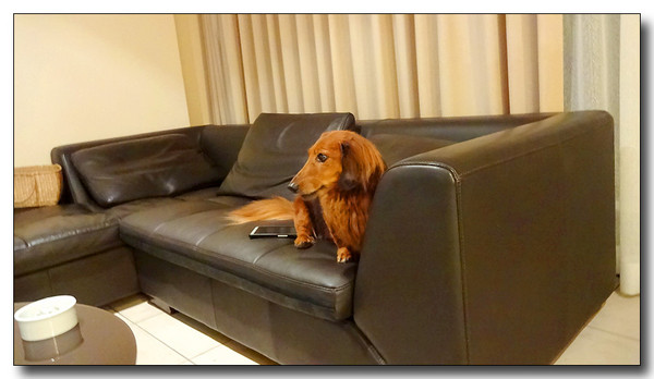 20131023000154.JPG