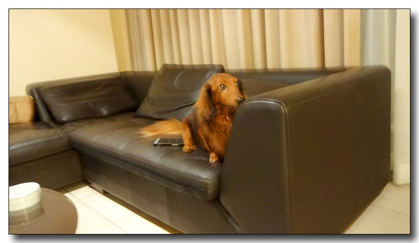 20131023000155.JPG