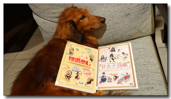20131024042805.JPG