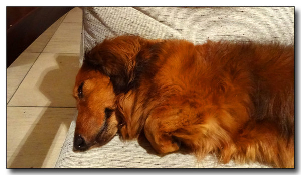 20131024042806.JPG