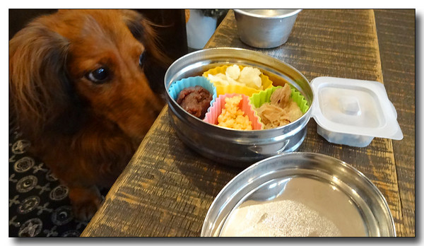 20131030070354.JPG